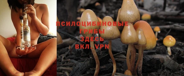 твердый Володарск