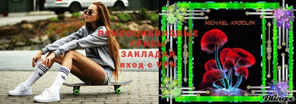 твердый Володарск