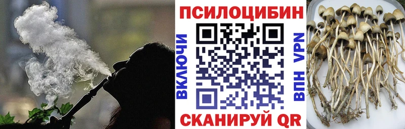 Псилоцибиновые грибы Psilocybine cubensis  Иваново 